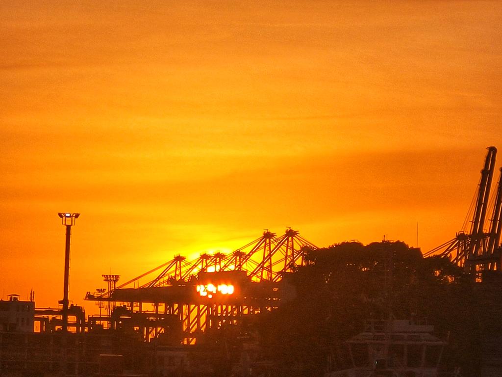 mr_thilina's tweet photo. a magical sunset.🌅🌇
#sunsetviews #sunsetphotography #sunsetlovers #sunsetmagic #sunsetchallenge #sunsetphotography https://t.co/wVi2h3E1G0