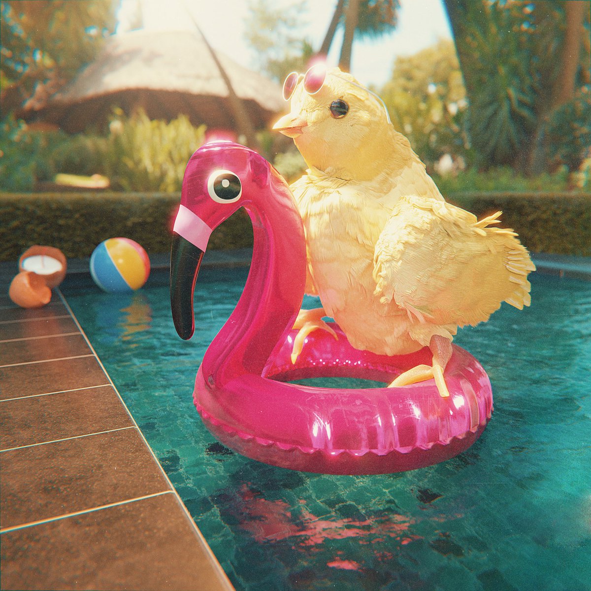 🐣 Chicks Berry 🐣 tweet media