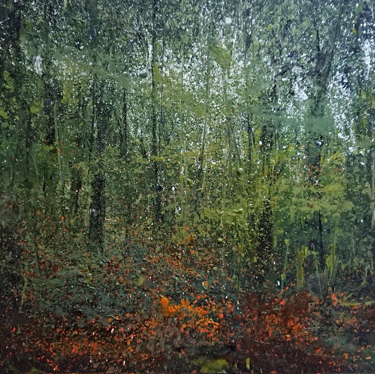rawnsleyart's tweet image. Into the #ceridigion woodland #coed #welshart #painting #paintings #oilpainting #oilpaintings #celf #celfcymru #landscape #tirwedd #cymru #wales #cynefin #contemporaryart #contemporarypainting #originalart #originalartwork #wales #landscapepainting