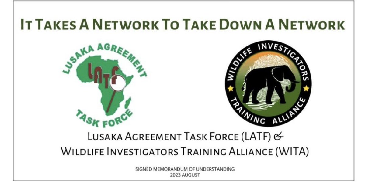 We are pleased to announce our partnership with Wildlife Investigators Training Alliance (WITA) aimed at promoting investigative best practices and networking with wildlife and government authorities in dismantling transnational wildlife trafficking organizations. #partnerships