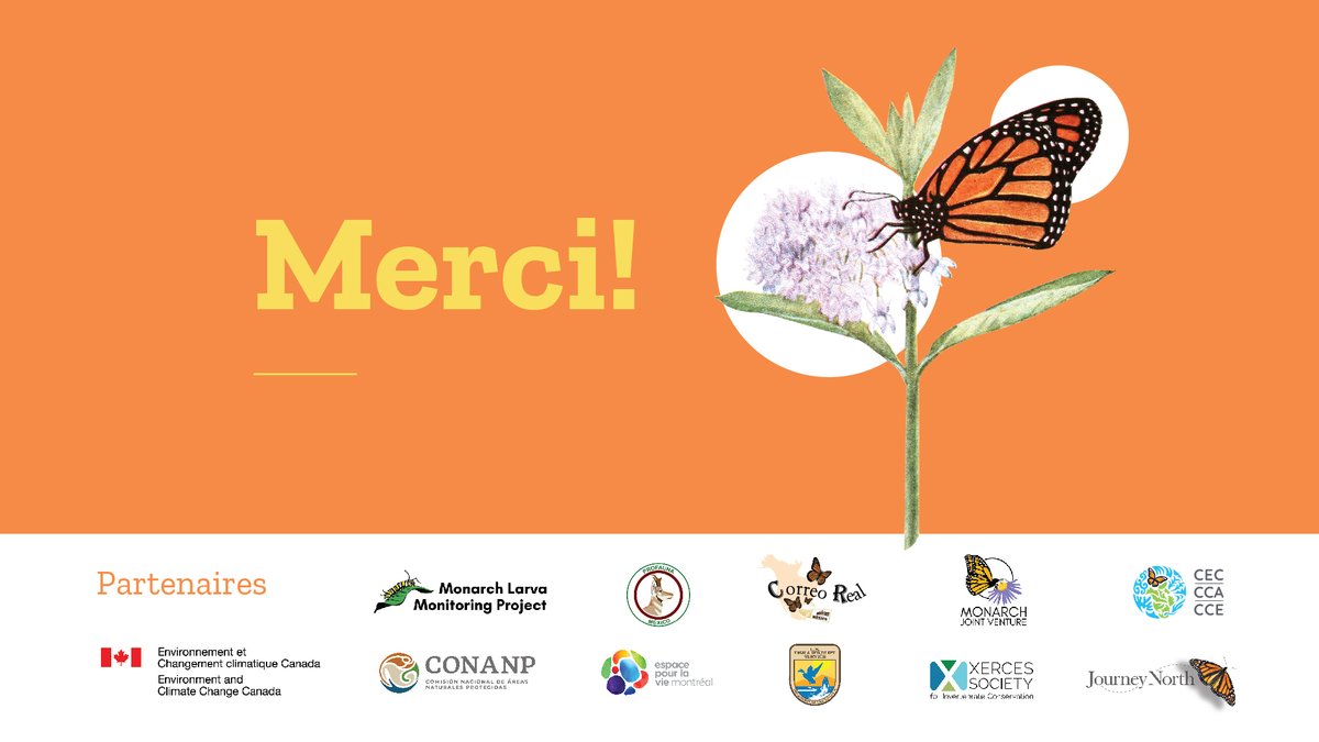 CCE_Francais's tweet photo. 🦋Merci de votre participation au #BlitzMonarque!
Restez à l’affût pour connaître les résultats de vos observations.
Vous voulez savoir comment vous pouvez favoriser le développement des populations de #monarques tout au long de l’année?
👉https://t.co/NTcUgfPtqi https://t.co/O2rWo9AY34