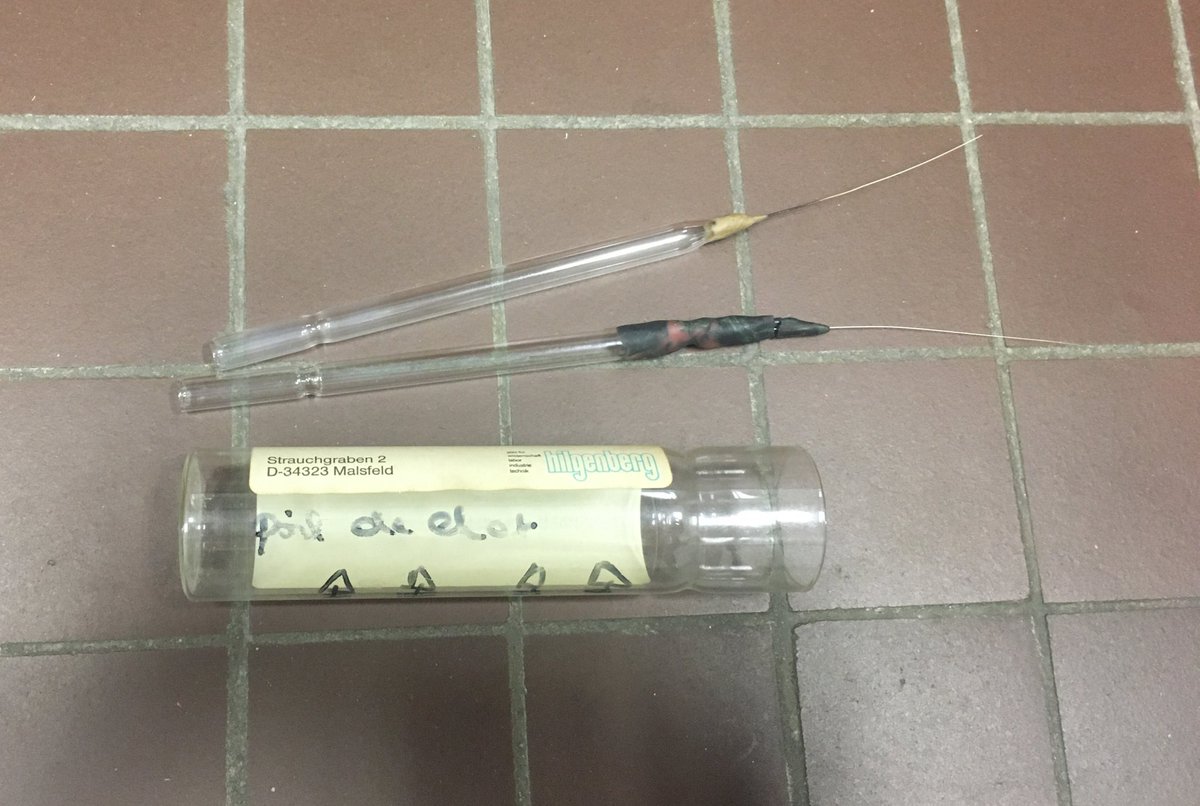 Nikolay Tumanov tweet media