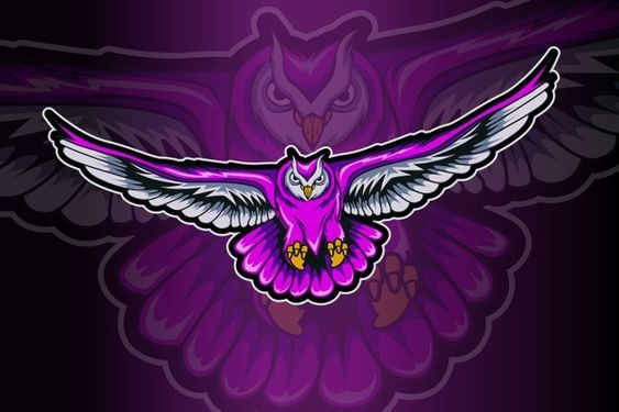 stacygrace168's tweet photo. "Calling all gamers! 📷📷 Need top-notch graphic designs for your gaming brand? Look no further! From epic logos to jaw-dropping banners and overlays, I've got you covered! Let's level up your gaming presence together! DM for custom designs.  #twitchassets #twitch #graphicdesigne https://t.co/yjB8WZ6L8i