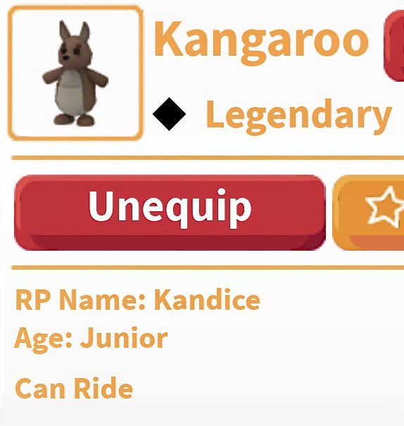 Lynn Strozinsky tweet media