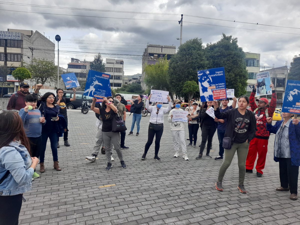 MANimalistas's tweet photo. Se está desarrollando la audiencia por el caso Spyke, activistas nos encontramos afuera del lugar donde se desarrolla el proceso. Exigimos #JusticiaParaSpyke . Una persona que cuelga un perro, no puede quedar impune luego de cometer este hecho delincuencial. https://t.co/Xlx3qPaiEt