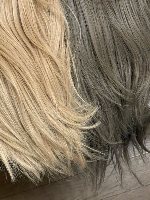 ウィッグ2個くっつけて並べただけで勃起するわもう末期やね🤦&zwj;♀️ https://t.co/QBTTI1yswx