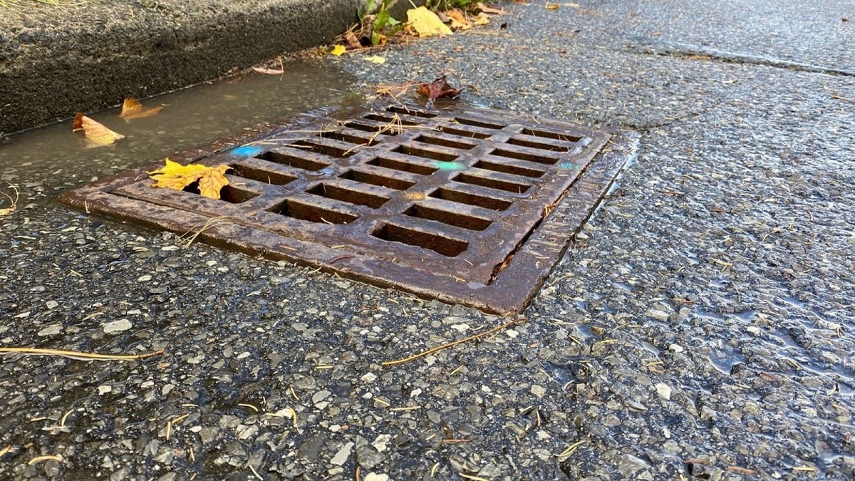 Heads up #OttCity! Heavy rain is expected over the next two days. 

Help us prevent water pooling and flooding by raking leaves off the catch basins in your area.

Map of nearby catch basins: bit.ly/3M7FxrL
