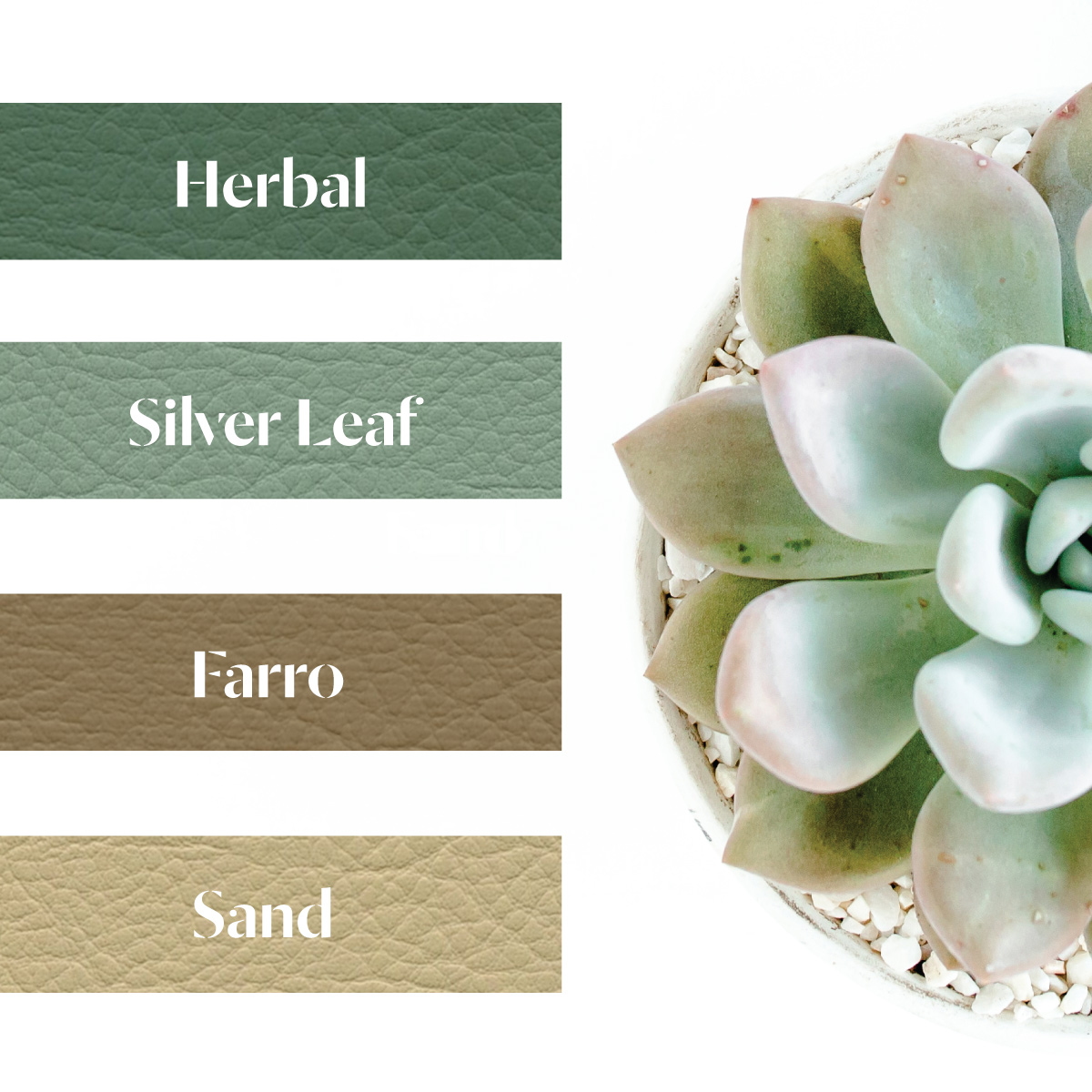 SpradlingVinyl's tweet photo. Bring the stunning colors of nature indoors with the new Whisper™ palette. 🪴 

#Spradling #PerformanceFabric #CoatedFabrics #VinylCoatedFabrics #NewWhisper https://t.co/DYb9wXWfpQ