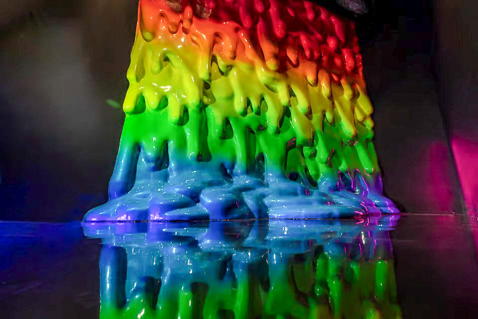 University of North Texas tweet media