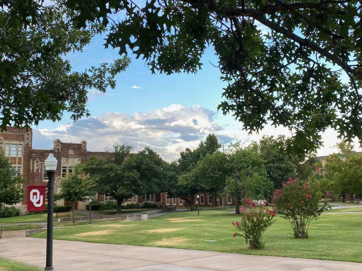 PalmeriJoAnn's tweet photo. A quiet campus the day before #OUMoveIn23 with class #OU2027 #CampusBeautifulByDayAndNight #MondayMotivation #LibrariesFromTheOutside https://t.co/tnbhpFngnz