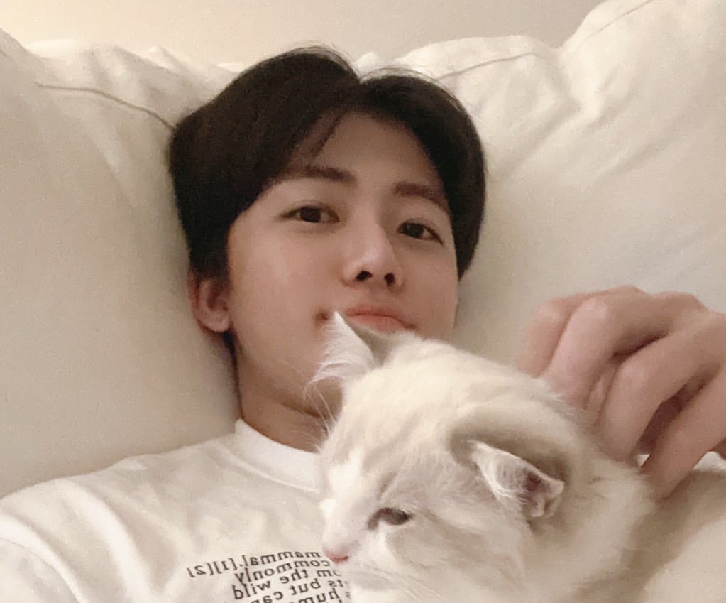 ⋆𐙚₊ a - narcissism ˚⊹♡ tweet media
