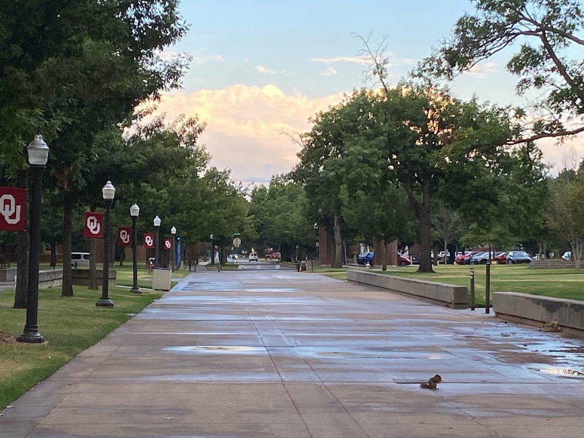 PalmeriJoAnn's tweet photo. A quiet campus the day before #OUMoveIn23 with class #OU2027 #CampusBeautifulByDayAndNight #MondayMotivation #LibrariesFromTheOutside https://t.co/tnbhpFngnz
