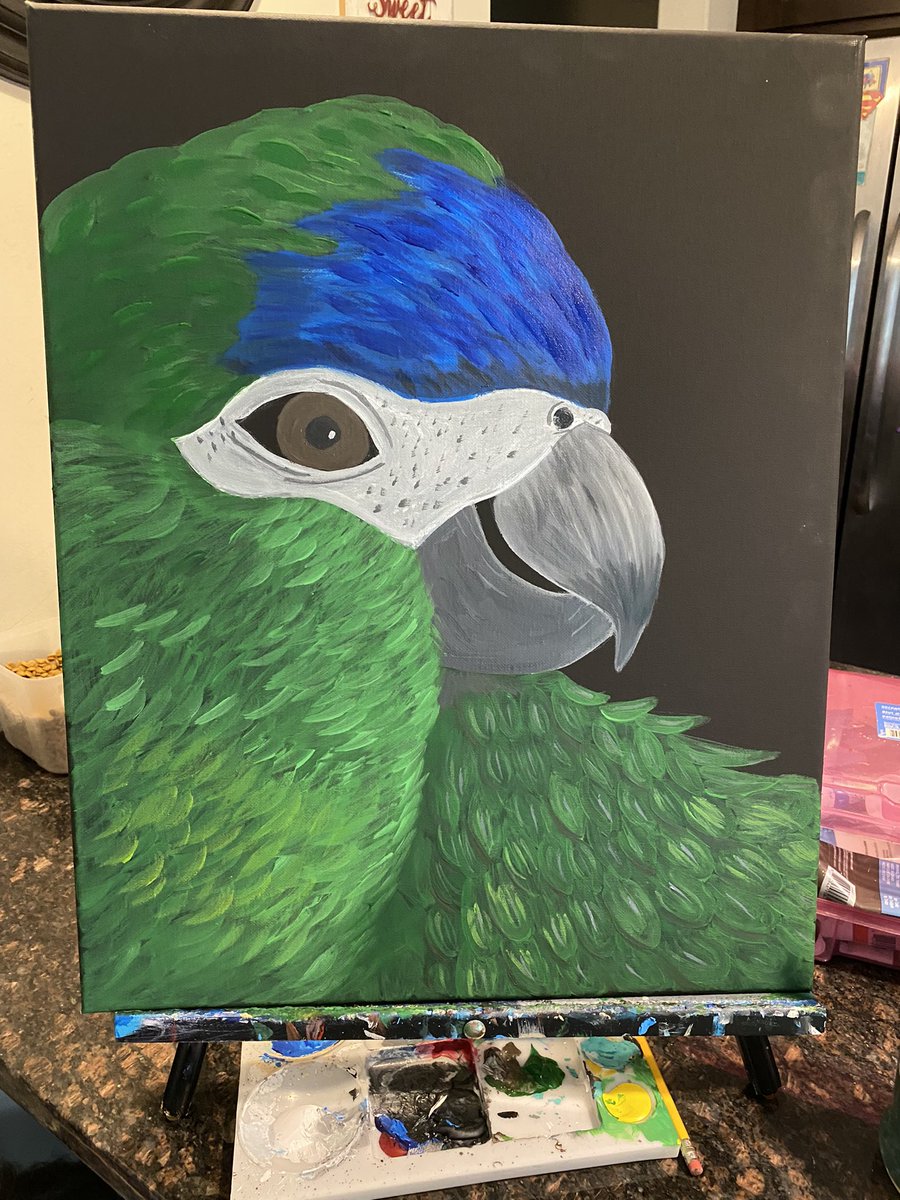 Mindiluwho's tweet photo. Another little painting #artwork #paintingoftheday #canvas #bird #acrylicpainting #acryliconcanvas https://t.co/b2gaomXqQG