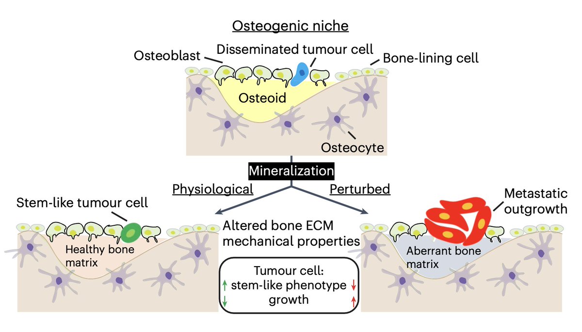 Nature Biomedical Engineering tweet media