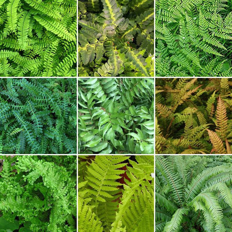 kolhub's tweet photo. Latest Site up and running!
App Store listings soon 🔜
#OnlyFerns https://t.co/WlbCgeeePh