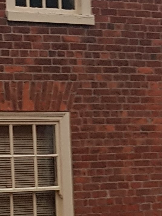 TheHistoryMouse's tweet photo. I've read that English Garden Bond was only seen in quantity in the North East of England and yet it appears common on this scamper, just as with #Heytesbury it is found in older buildings in #Codford. No queen closers here either https://t.co/4QNwBBKNZs