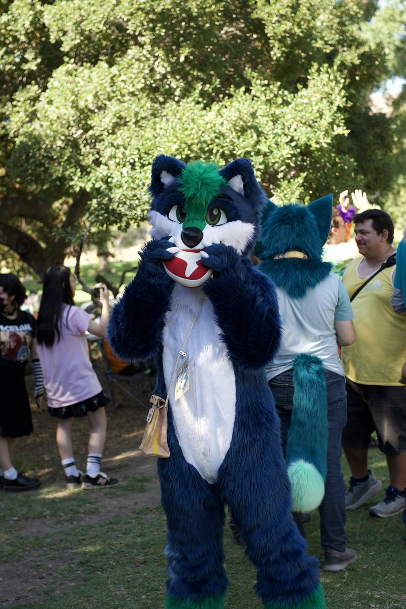 ArcticFoxxo's tweet photo. @SoCalFurBQ https://t.co/lUsNLsMkfl