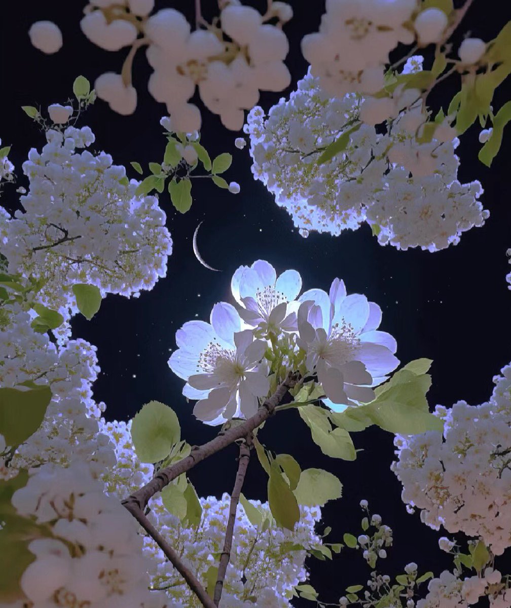 piinkibun's tweet image. the moon loves you back