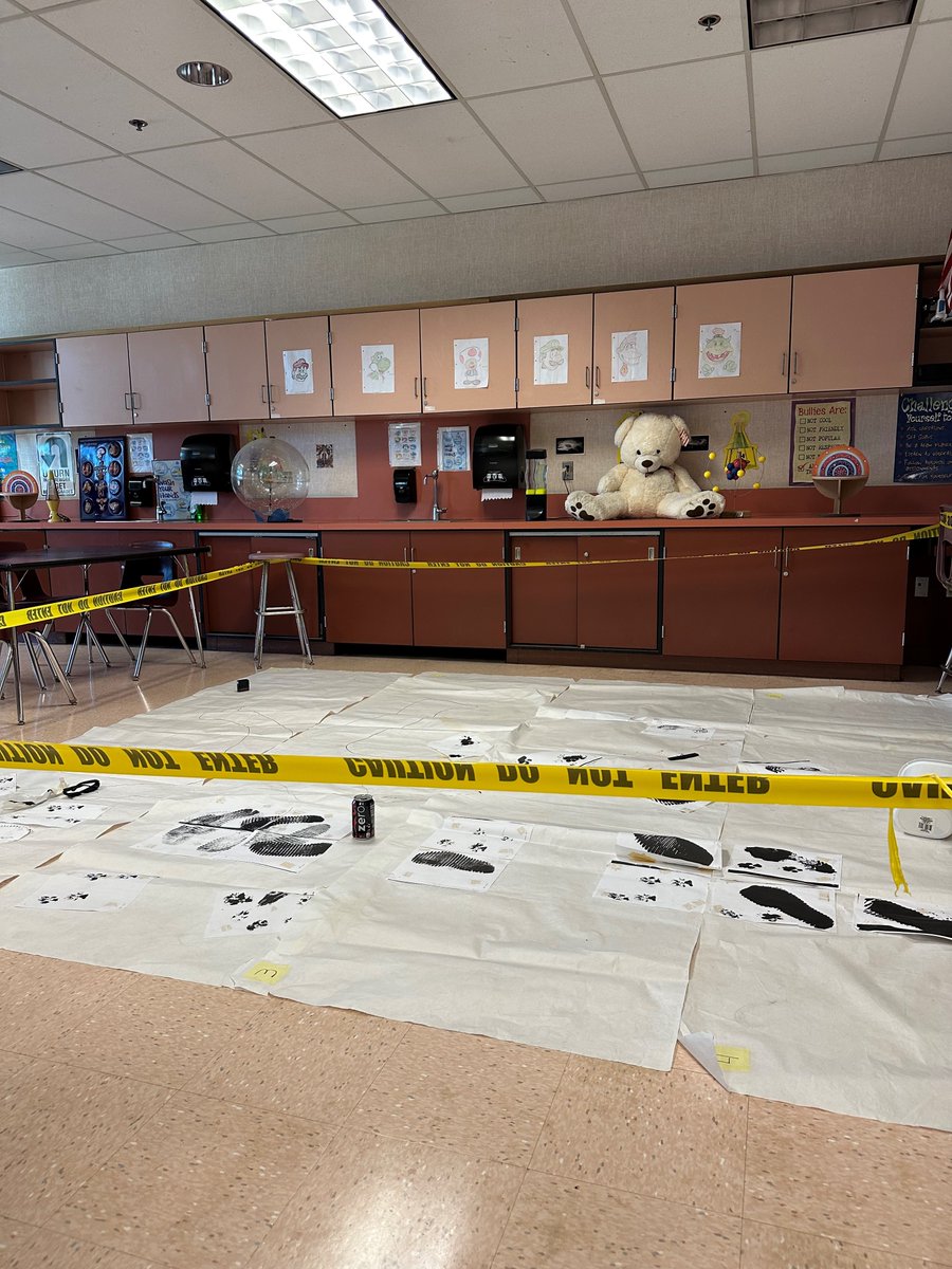 FUSD_TrumanMS's tweet photo. What's the difference between an observation and inference? Truman Students in Mr. Gonzalez's class are learning the difference by investigating a crime scene. @lawrencehallsci @fontanausd #IBelieveInFusd #TrumanMS https://t.co/EJG54ThDbK