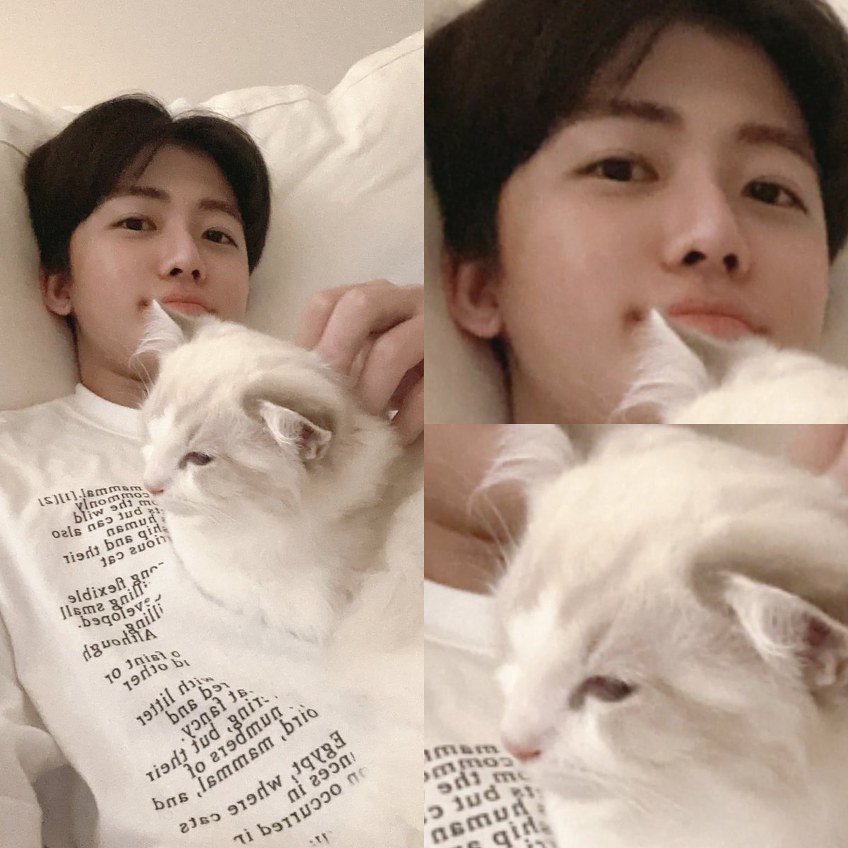 น้องแจมินเหมือนแมวหรือแมวเหมือนน้องแจมิน