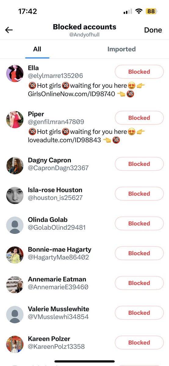 Andyofhull's tweet photo. @elonmusk Just some of the scam accounts I’ve blocked over the last few months https://t.co/w8orT6ZKor