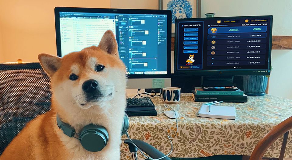 Shibets_ERC's tweet photo. Capt. Shiba is working hard.

Last chance to get $SHIBETS for a reasonable price 🐕 https://t.co/dWTXs1zci6