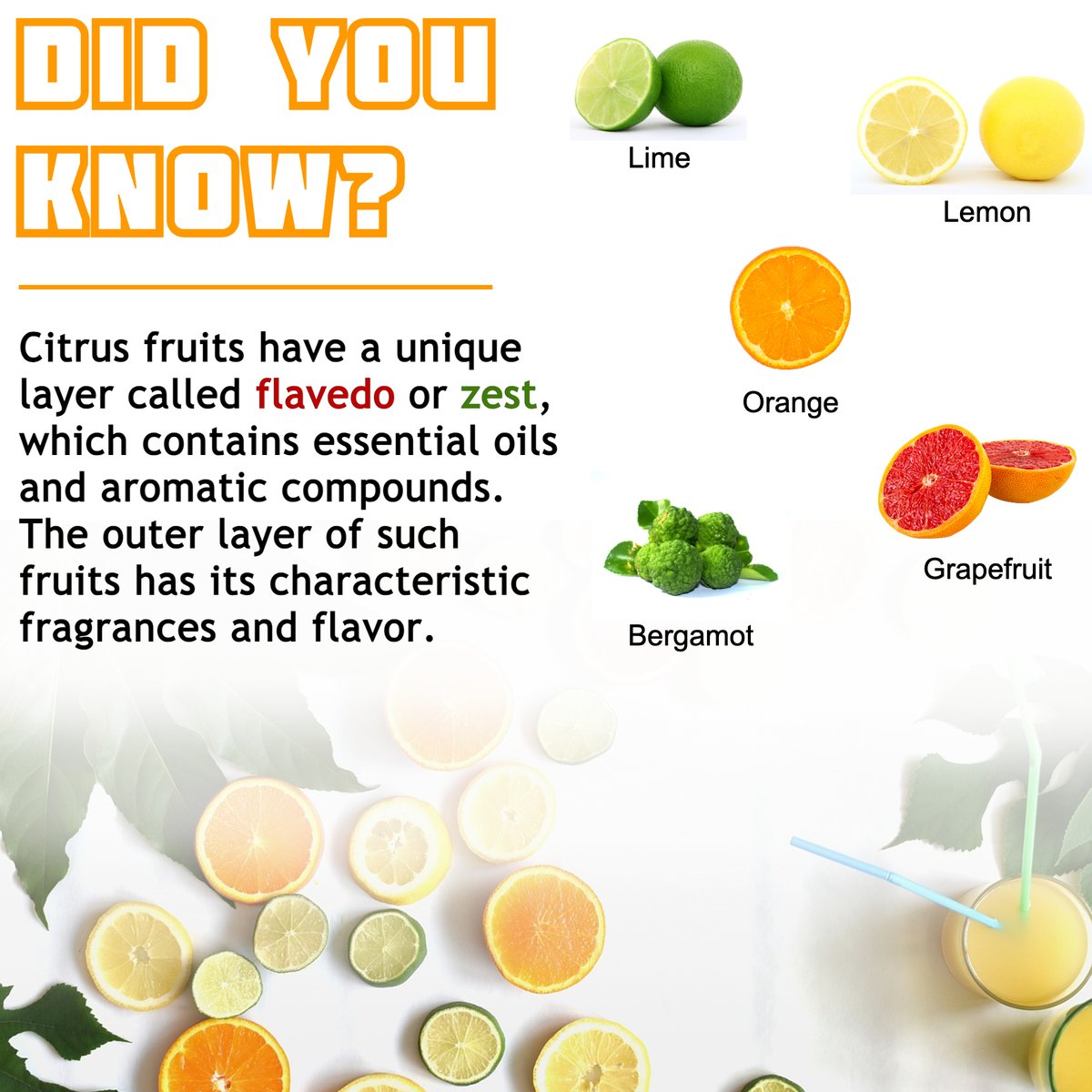 Spoliamagazine's tweet image. What Are Some Fun Facts About Citrus Fruits?

#Citrusfruits have many benefits, from #lowfructose to being the perfect fruit for #weightloss.

Want to know more Click ➡️: spoliamag.com/low-fructose-f…

#orangefruit #lemonfruit #grapefruits #benefitsoffruits #fruithealth #fruitnutrition