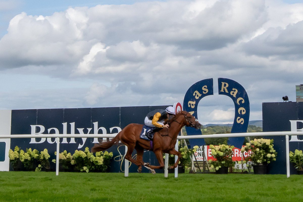 The @IrishEBF_ @BallyhaneStud Stakes, with a prize pot of €300K goes the way of Golden Trick 🤩 Ridden to victory by @BenCoen2 and trained by Hugo Palmer 🇬🇧 A 🥇 & 🥈 in the race for @JoeFoleyBally 👏 #RichestRaceAtNaas