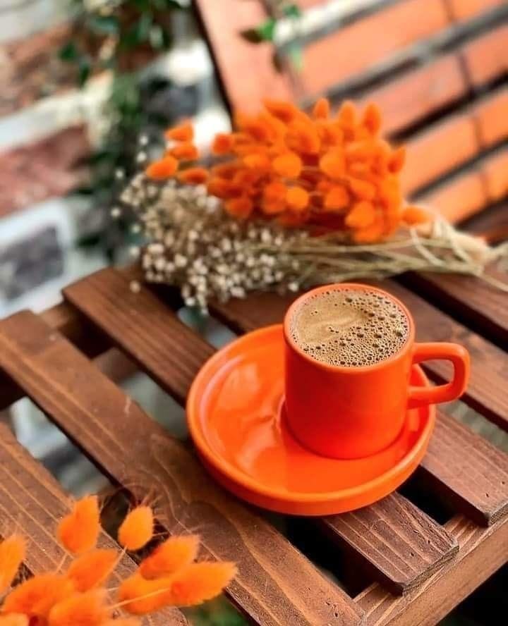 goreeana1's tweet photo. " إن الأماني وإن جاءت على مهل ..
   تكون أعظم شأنا حينما تصل."💜
#مساء_الخير https://t.co/XNGMtUNr6C