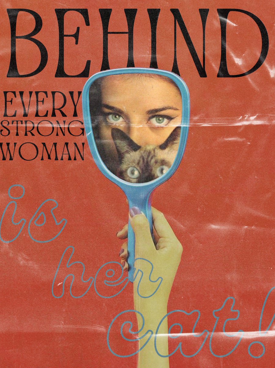 fiona is working on applications tweet media