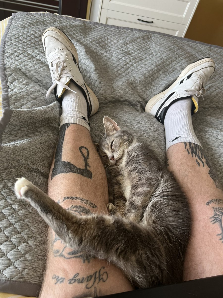 Renfrewshire Catman tweet media