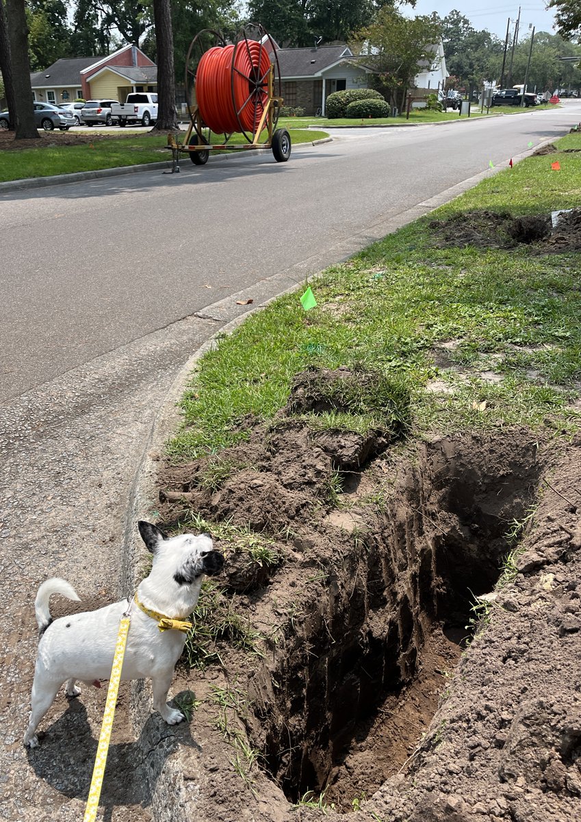 Working Fiber (@workingfiber) on Twitter photo 