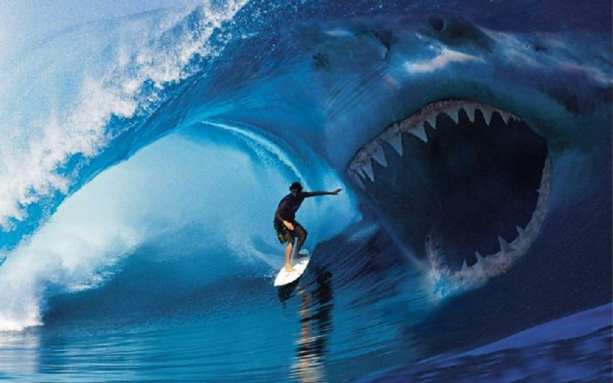 JawsInBiarritz's tweet photo. Mensonges, non respect des contrats et engagements, dettes impayées et abus de faiblesse.

Nous lançons l'alerte sur l'entreprise @StackinSat_FR / @SurfinBitcoin et leurs dirigeants. Lien ci-dessous 👇. https://t.co/S7btRSitz7