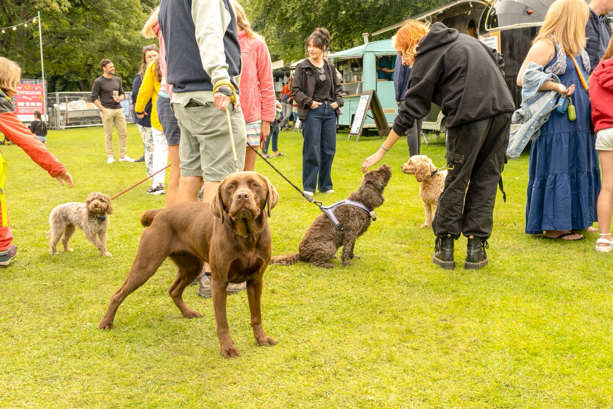 We love dogs at Fringe by the Sea and well-behaved pups on leads are allowed inside all our venues for seated or standing daytime events...just not standing headline shows.

#dogfriendly #dugswelcome #bringthedog #fbts23 #fringebythesea #northberwick #eastlothian #dogsallowed