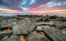 panda_profesor's tweet photo. El hermoso #Tulum no es el único sitio arqueológico pegado al mar.
En Sinaloa puedes visitar #LasLabradas un sitio increíble con petrograbados que son bañados por el mar.
#arqueologia https://t.co/GcliOU1Sf0