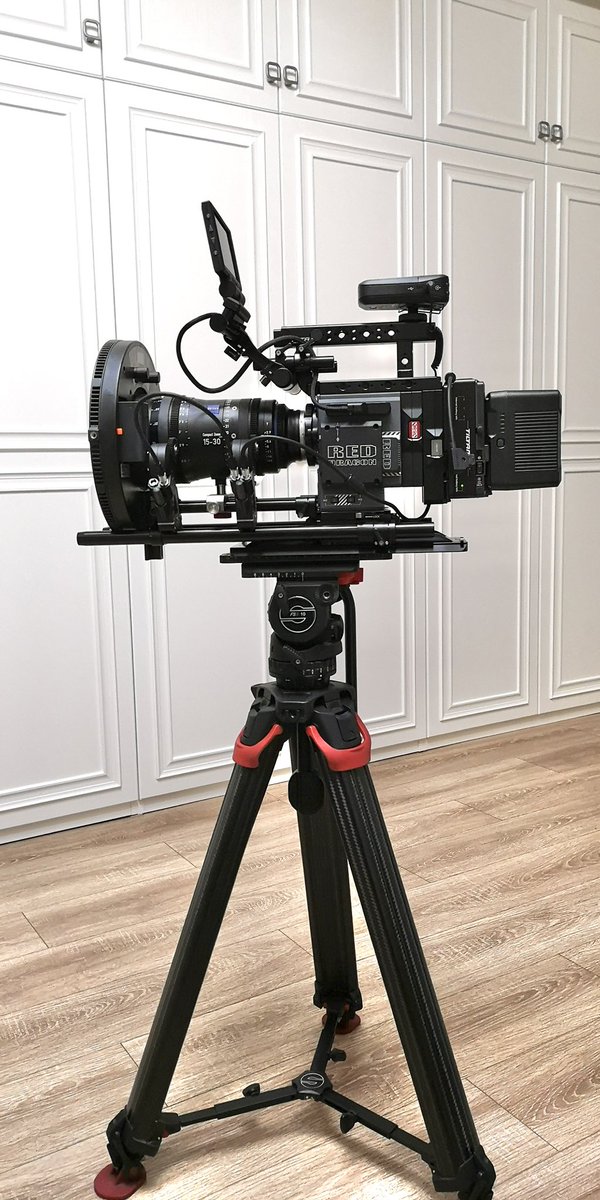 papabear tweet media