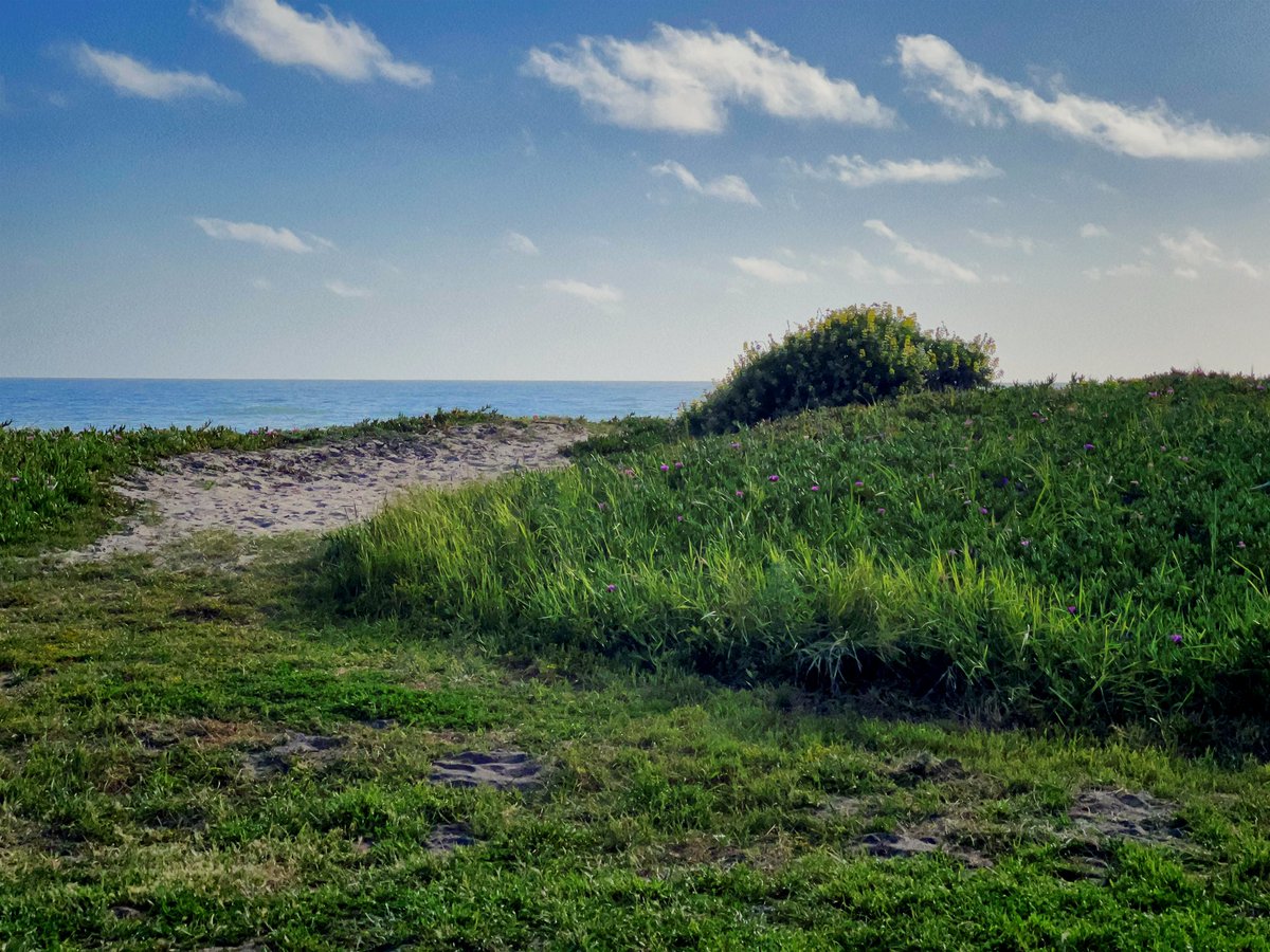 tdsepsilon's tweet photo. @moment Coastal dream #36expapp https://t.co/22lBlDSBlK