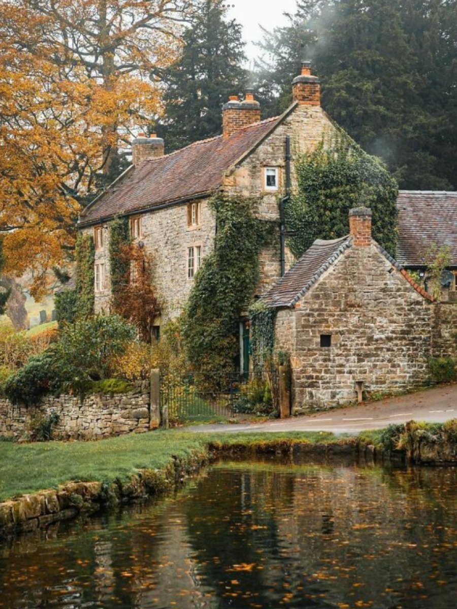 This has got to be your dream house.