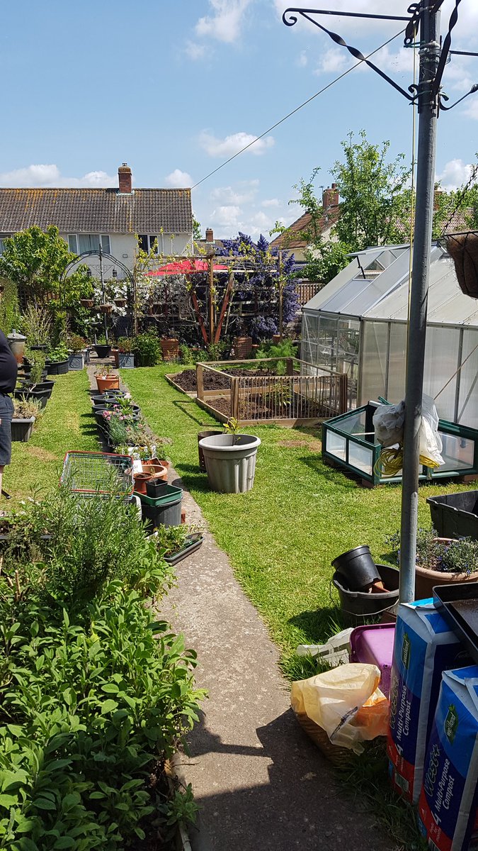 buttonnandbows's tweet photo. @mrfothergill Gardening is my way of life. My mum gardened everyday to unwind. Her daughter now does it. Get totally immersed. Clears the mind makes other problems go away, for a while. The best coping mechanism I know. #Presssday #win #enternow #giveaway #comptime https://t.co/YrNpkpXEXj