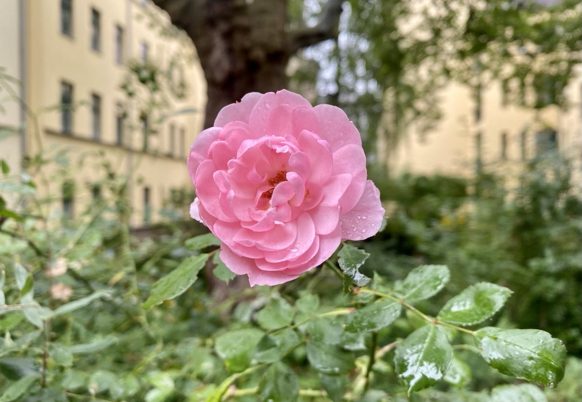 @antenne tweet media