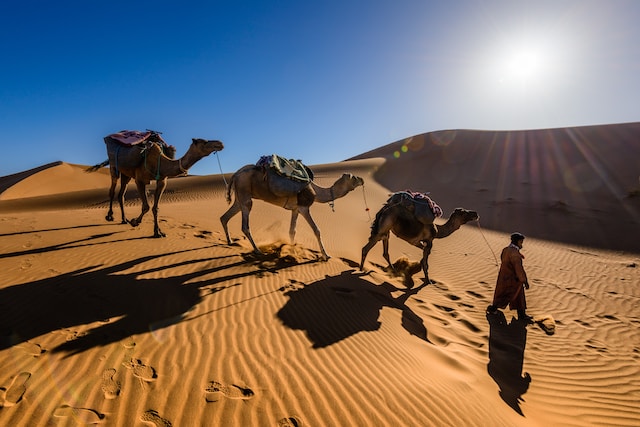 ButDansLaVie's tweet photo. Marrakech, Maroc ☀️🇲🇦 https://t.co/WkHLqDHAZP
