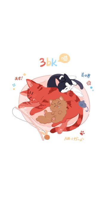 3bk🐱②