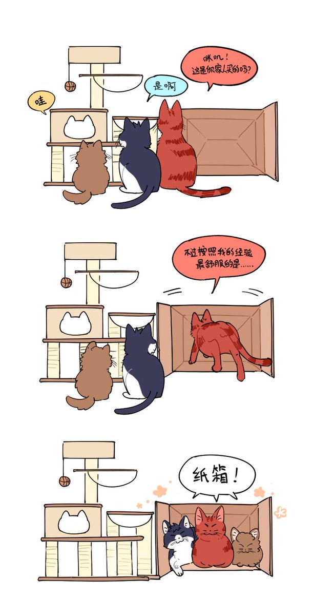 3bk🐱②