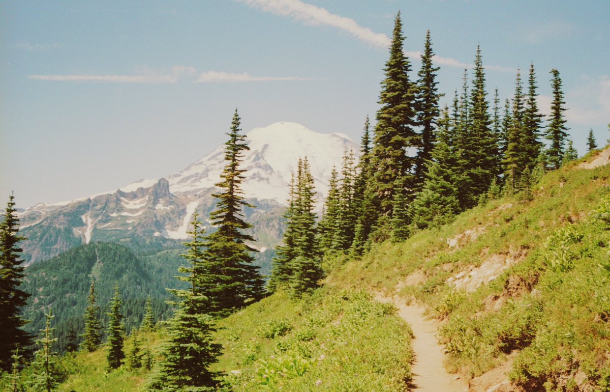 JoseePearlson's tweet photo. Rainier on film 🎞️ https://t.co/bl5oB3dnDS