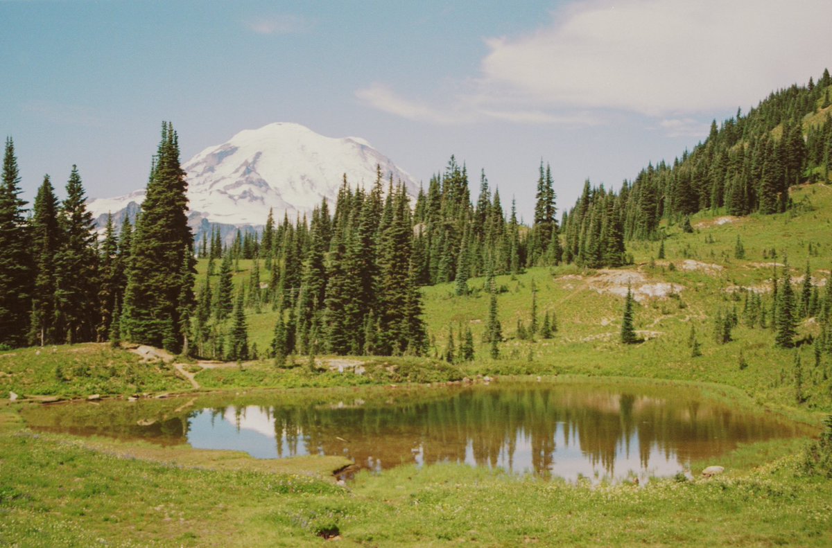 JoseePearlson's tweet photo. Rainier on film 🎞️ https://t.co/bl5oB3dnDS