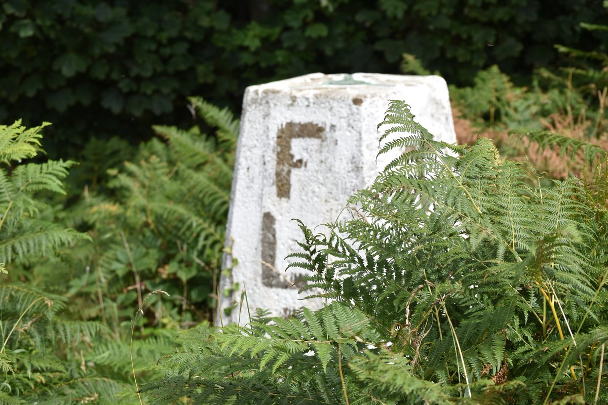 mbhbtb's tweet image. Today's trig bagging exercise:
Warsett Hill and Errington Woods, with views across Teesside
Now completed 128 trigs
#trigpoint