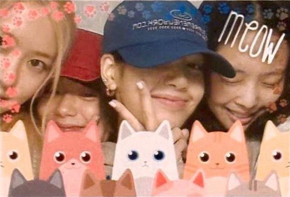 BBU_BLACKPINK's tweet photo. my favourite girls🖤💗

ALWAYS WITH BLACKPINK
#7YearsWithBLACKPINK
#FOUReverWithBlackpink
#일곱살_블랙핑크_일평생_함께할게 @BLACKPINK https://t.co/mo4R2JrYcq
