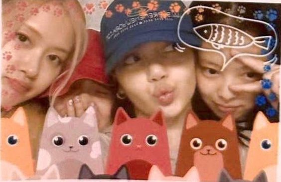 BBU_BLACKPINK's tweet photo. my favourite girls🖤💗

ALWAYS WITH BLACKPINK
#7YearsWithBLACKPINK
#FOUReverWithBlackpink
#일곱살_블랙핑크_일평생_함께할게 @BLACKPINK https://t.co/mo4R2JrYcq