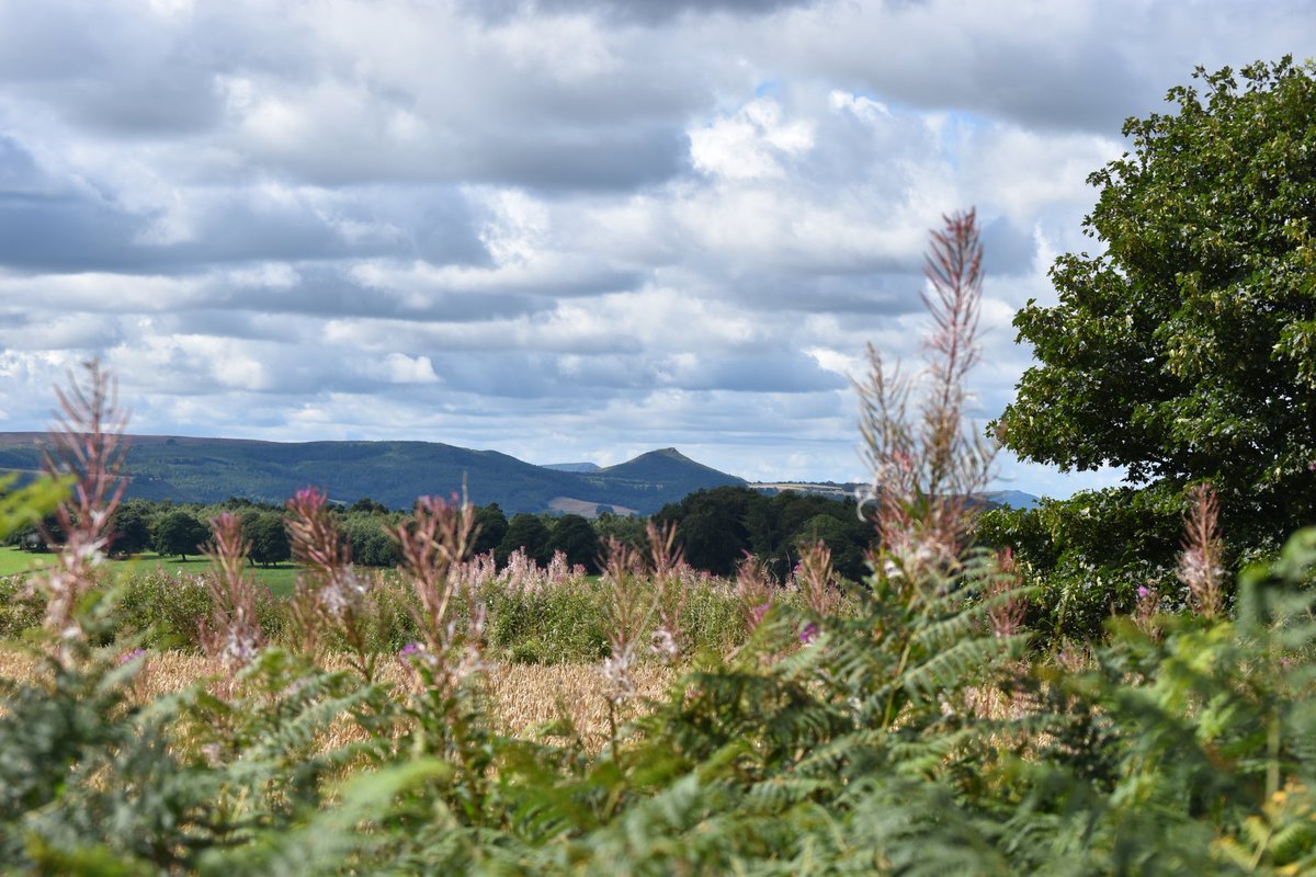 mbhbtb's tweet image. Today's trig bagging exercise:
Warsett Hill and Errington Woods, with views across Teesside
Now completed 128 trigs
#trigpoint