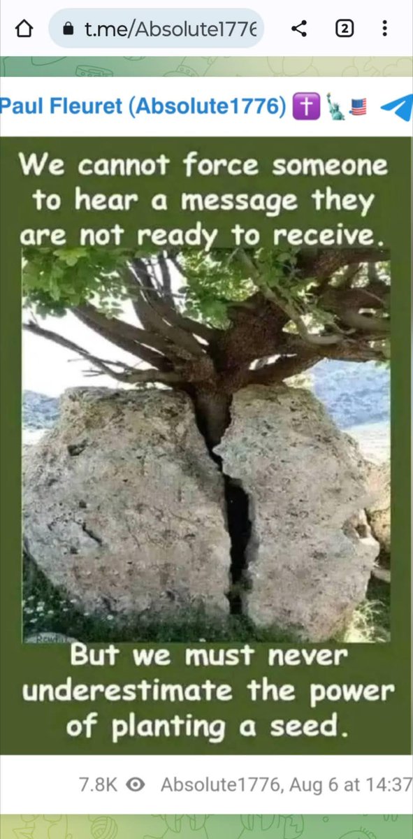 puddin_proof's tweet image. 